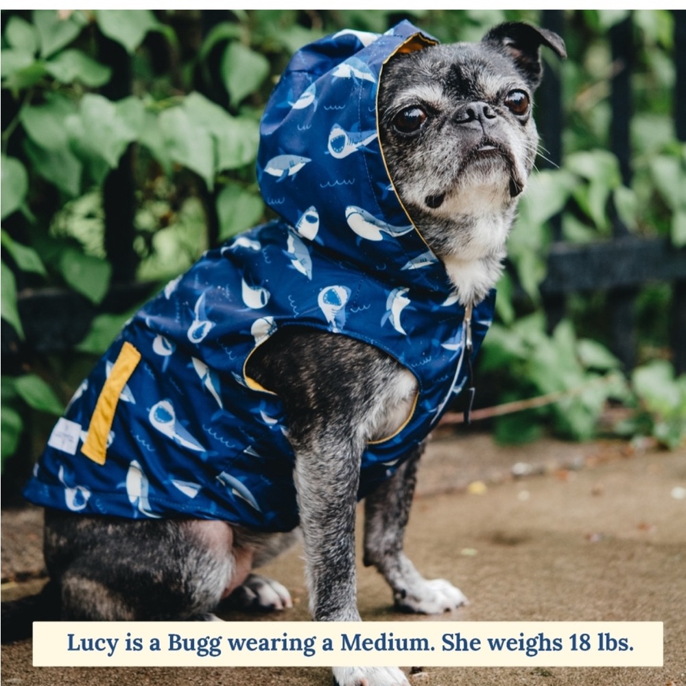 Blue Dog Raincoat with shark and yellow reversible Print